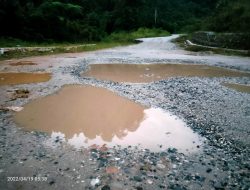 Jalan Trans Sulawesi Mayoa, Sulteng-Sulsel Rusak, Pengendara: Belum Lama Dikerjakan