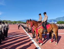 Korsabhara Polri Serahkan Dua Ekor Kuda Untuk Polda Sulteng