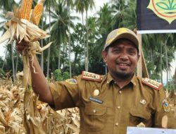 Beras Sulteng Surplus 86. 710 Ton Secara Nasional