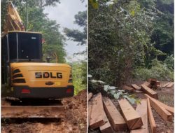 Kasat Reskrim Touna Bungkam Soal Penangkapan Kayu di Tojo Barat