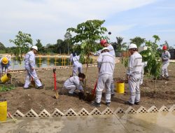 Ciptakan Lingkungan Industri Hijau, Huabao Tanam 100 Pohon di PLTU