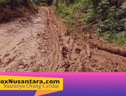 Miris!!! Jalan Desa Duwamayo Mirip Kubangan Kerbau, Warga Mengeluh