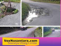 Miris..Ruas Jalan Nasional BPJN XIV Masih Banyak Rusak