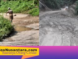 Ruas Jalan Poros Palu- Kulawi Rusak Parah