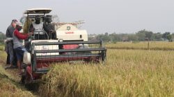 Dugaan Penyelundupan Mesin Alsintan Bantuan Pemprov Sulteng ke Surabaya, Polisi Lakukan Penyelidikan