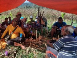 Dari Kehidupan yang Memperihatinkan Hingga Panen Melimpah: Kisah Sukses Desa Pagaitan