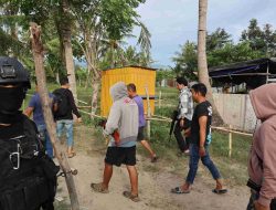 Judi Sabung Ayam di Petobo Digerebek, Satu Warga Diamankan Aparat