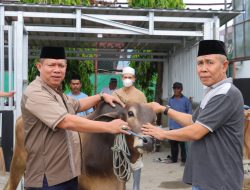 Rayakan Idul Adha, Polresta Palu Sembelih 21 Sapi dan 5 Kambing