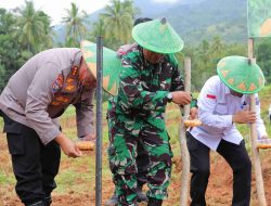 Sinergi Polresta Palu dan Pemkot Palu Wujudkan Swasembada Jagung di Donggala Kodi