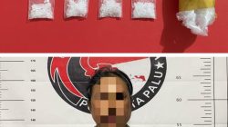 Satres Narkoba Polresta Palu Ungkap Kasus Peredaran Sabu, Seorang Perempuan Ditangkap