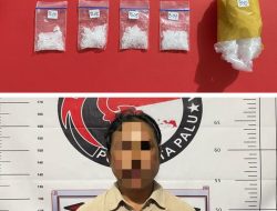 Satres Narkoba Polresta Palu Ungkap Kasus Peredaran Sabu, Seorang Perempuan Ditangkap