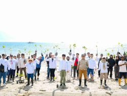 Rembuk Pemuda Sulteng Berkolaborasi Tanam 70.000 Mangrove Untuk Hijaukan Teluk Palu