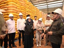 Harga Beras Melonjak di Parigi Moutong, Pemprov Sulteng Turun Tangan Stabilkan Pasar