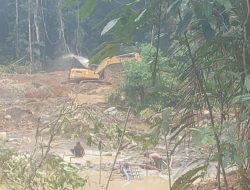 Tiga Alat Berat Milik CH dan I Masih Beroperasi di PETI Sipayo