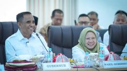 Anwar Hafid Paparkan Tantangan Fiskal dan Arah Pembangunan Sulteng di Hadapan Banggar DPR RI