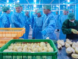 Gubernur Sulteng Lepas Ekspor Durian ke Tiongkok Sebanyak 459 Ton