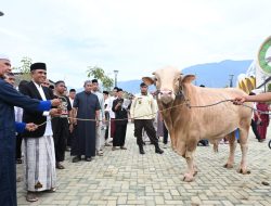 Anwar Hafid Serahkan 127 Ekor hewan Kurban